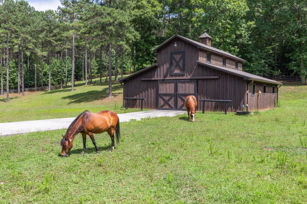 Lot 13 Thirteen Hundred Property Photo 20