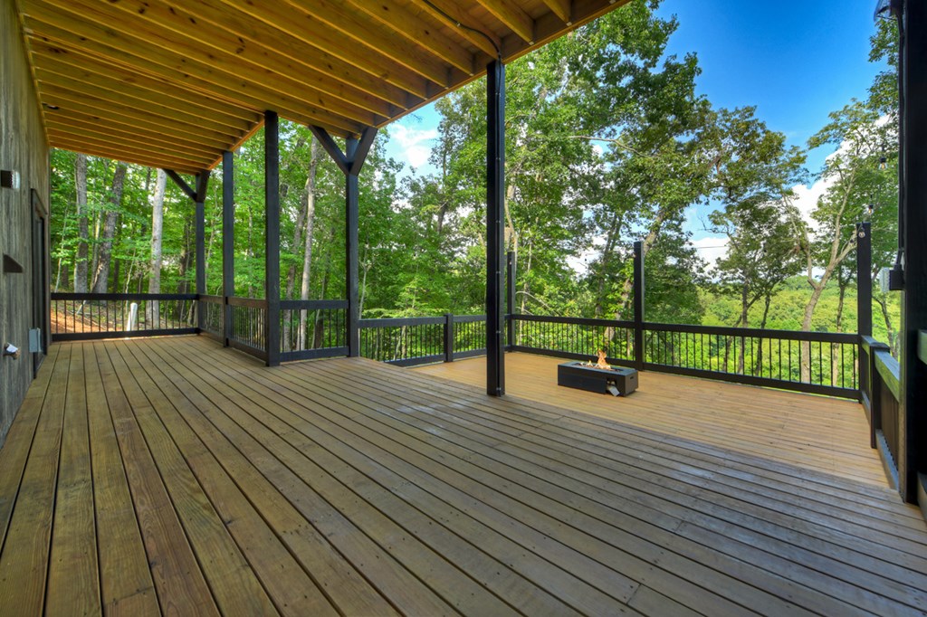 1729 Barnes Chapel Road Property Photo 38
