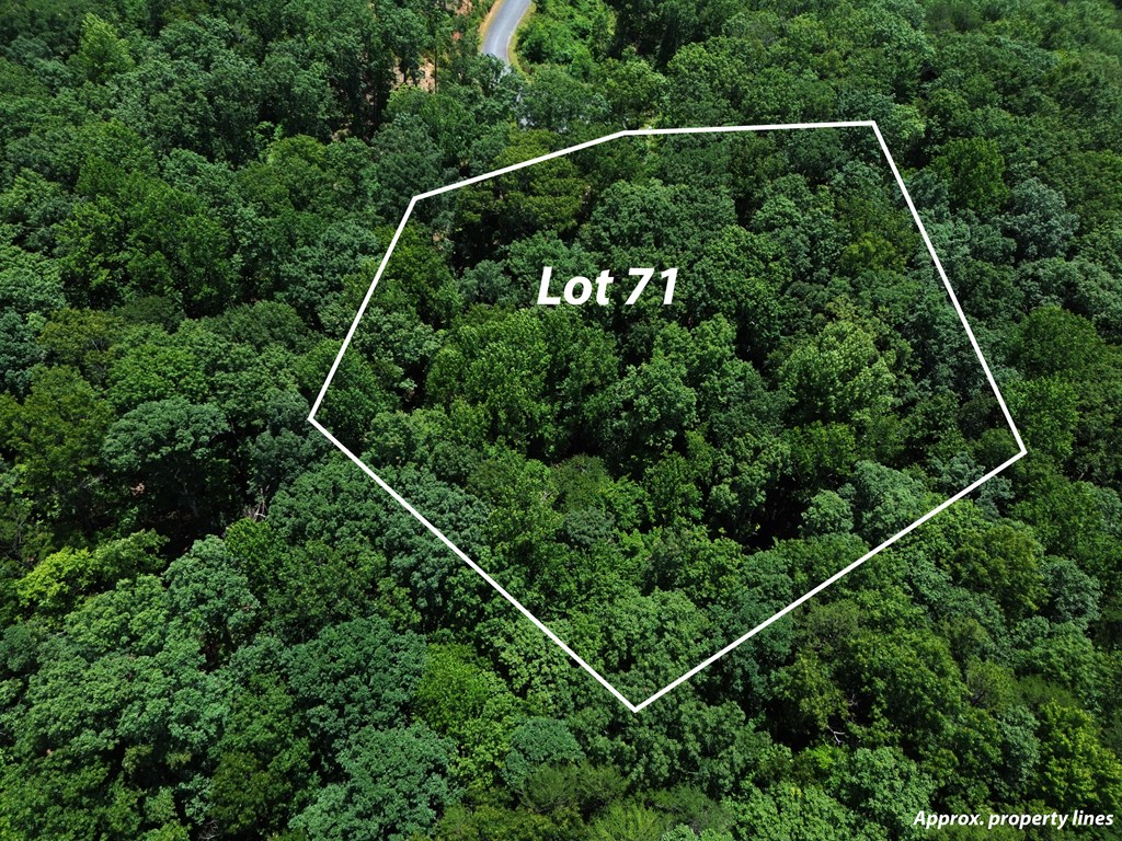 Lt 71 High Summit Drive Property Photo 2