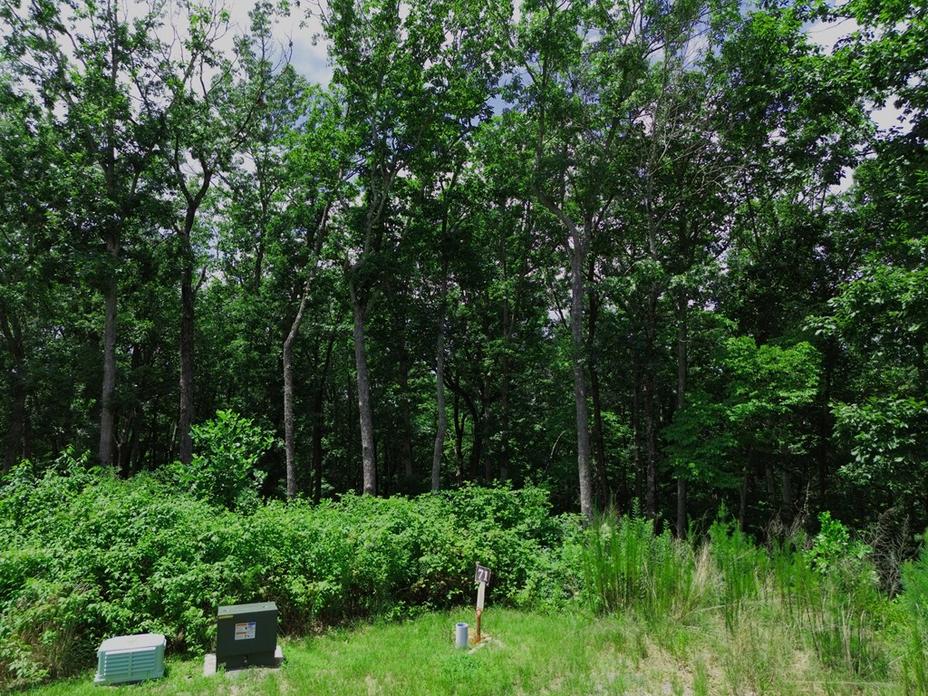 Lt 71 High Summit Drive Property Photo 3