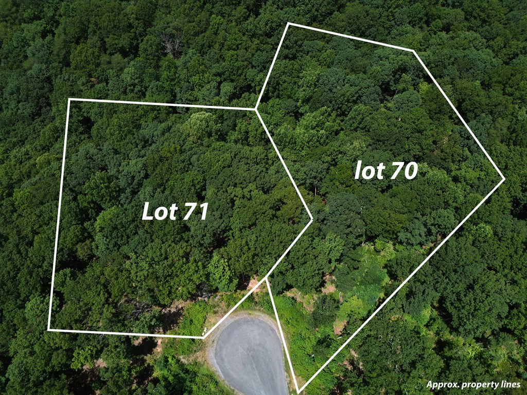 Lt 71 High Summit Drive Property Photo 4