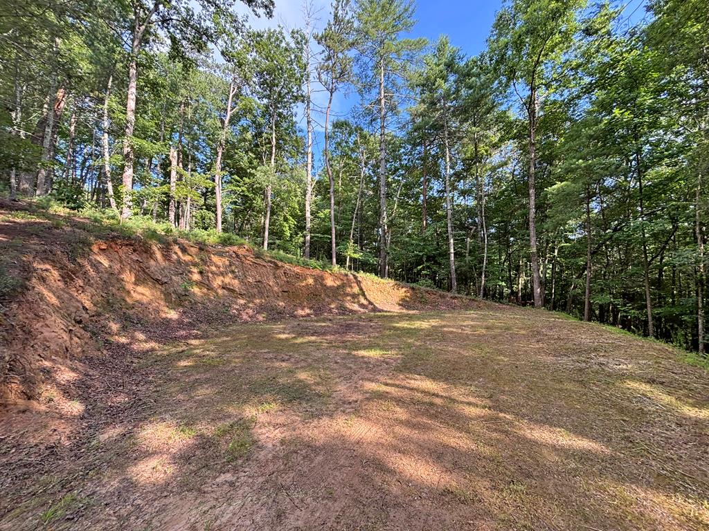 Lot 2329 S Whitepath Circle Property Photo 43