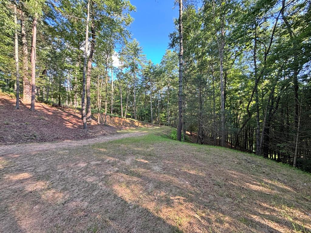 Lot 2329 S Whitepath Circle Property Photo 51