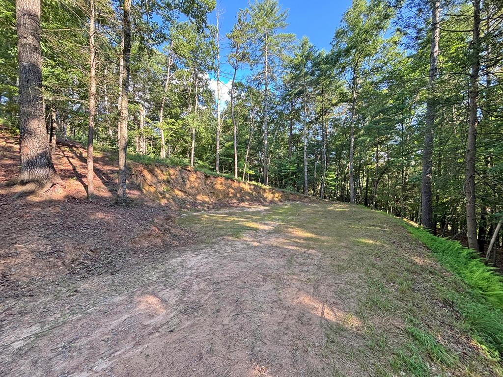 Lot 2329 S Whitepath Circle Property Photo 52