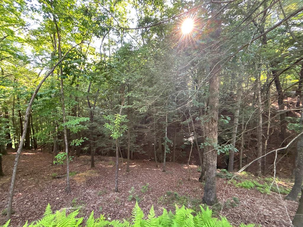 Lot 2329 S Whitepath Circle Property Photo 53