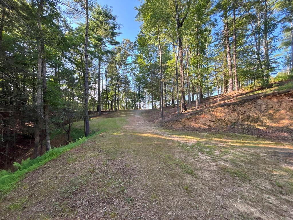 Lot 2329 S Whitepath Circle Property Photo 54