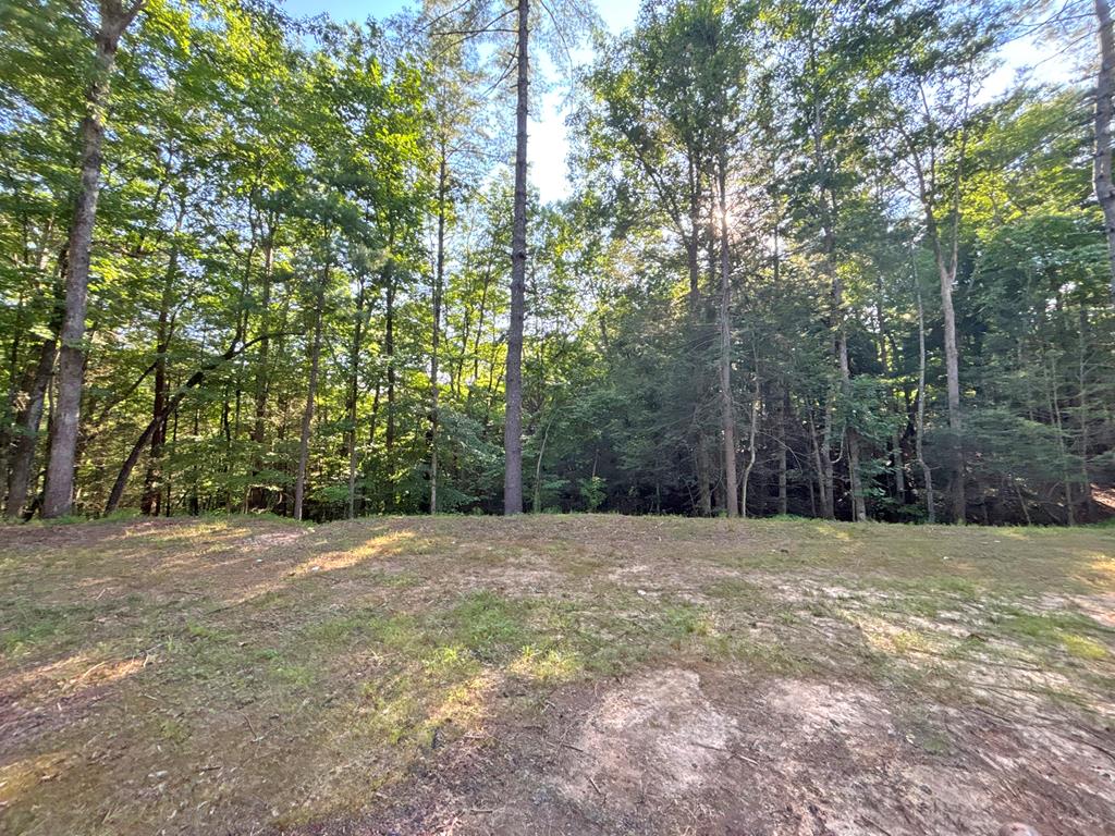 Lot 2329 S Whitepath Circle Property Photo 56
