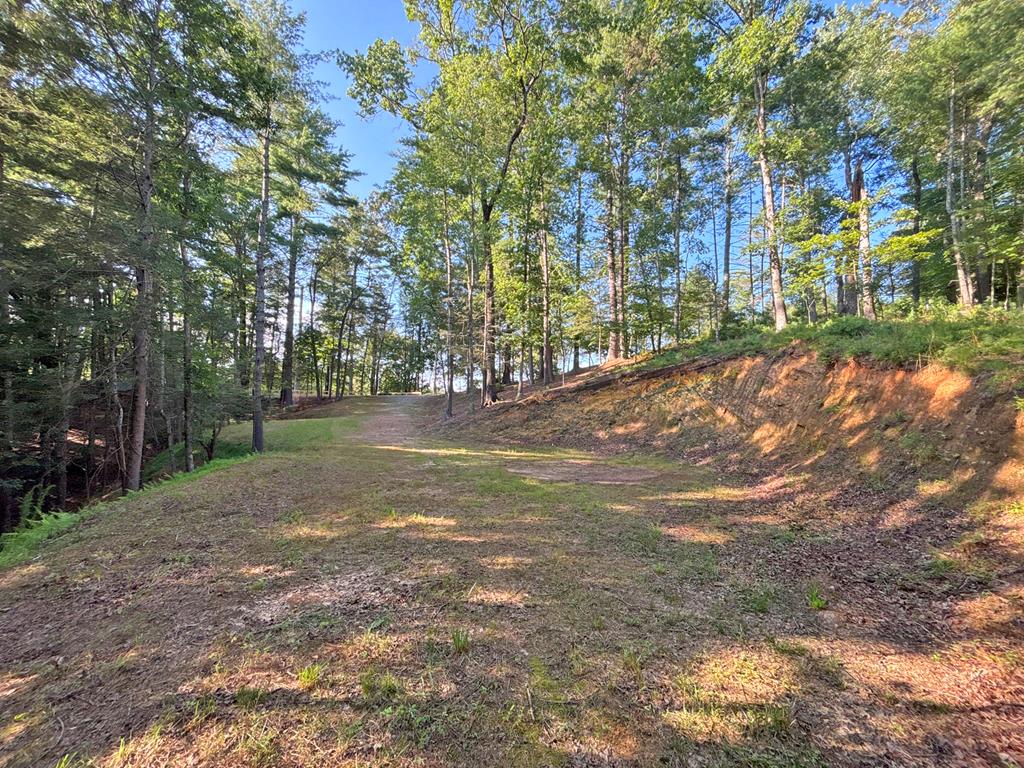 Lot 2329 S Whitepath Circle Property Photo 58