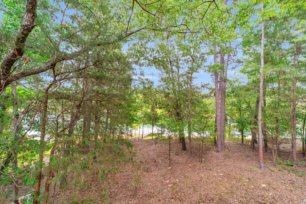 27 Classic Drive Property Photo 65