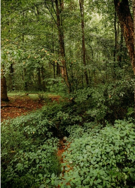 200 Old Woodring Road Property Photo 12