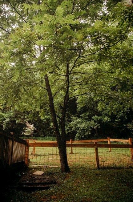 200 Old Woodring Road Property Photo 15