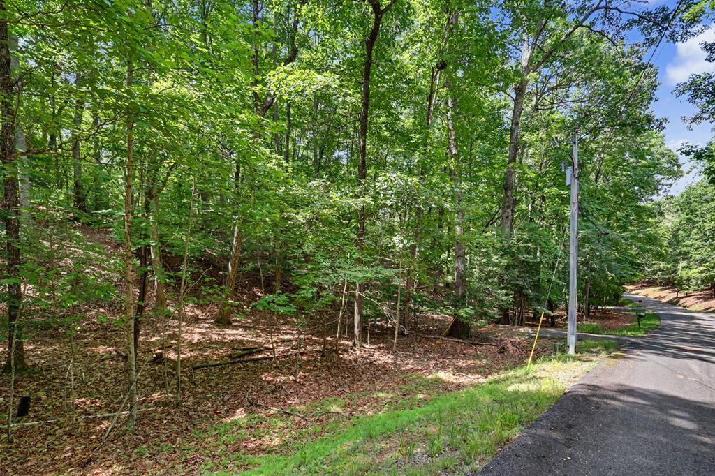Tract 3 Wilmar Circle Property Photo 1
