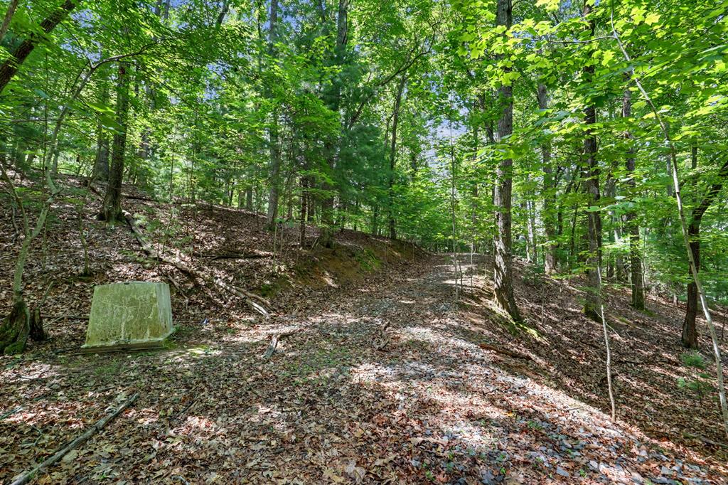 Tract 3 Wilmar Circle Property Photo 2