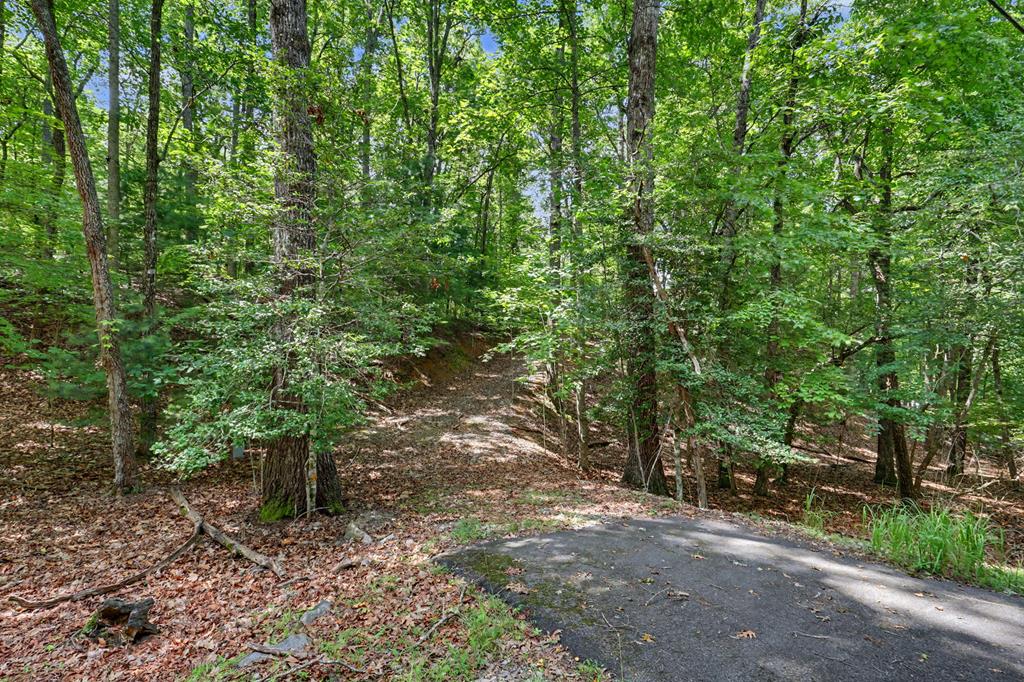 Tract 3 Wilmar Circle Property Photo 3