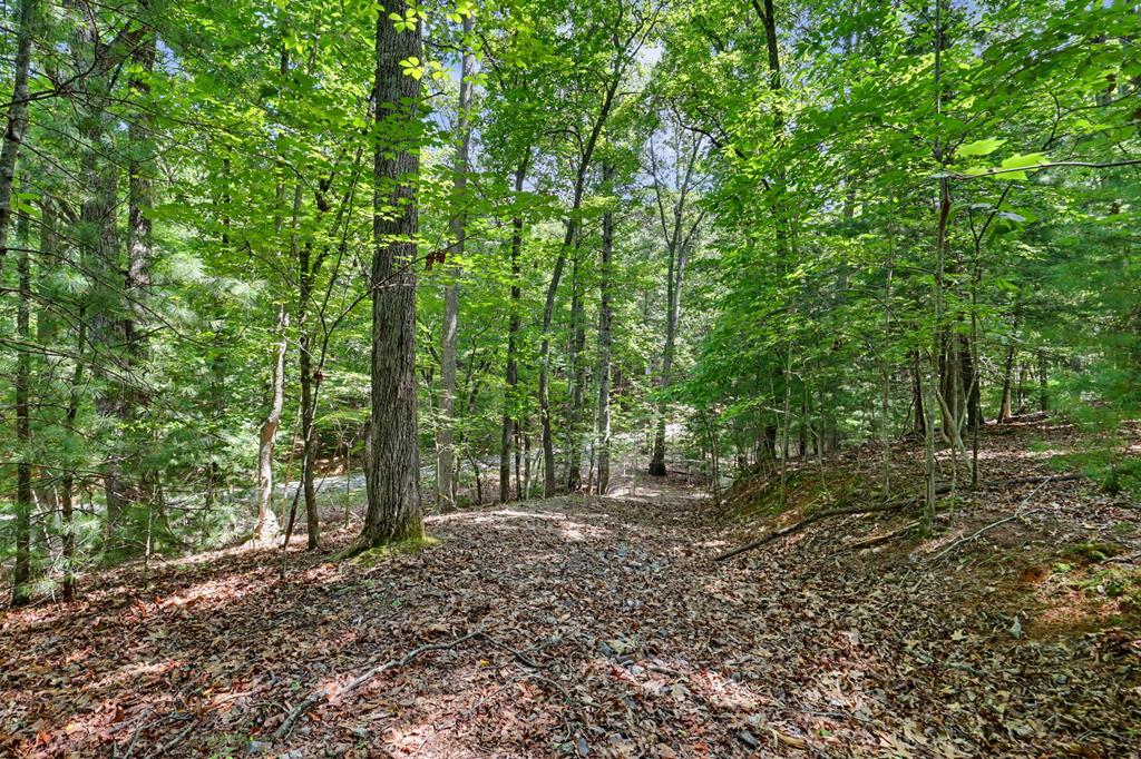 Tract 3 Wilmar Circle Property Photo 5
