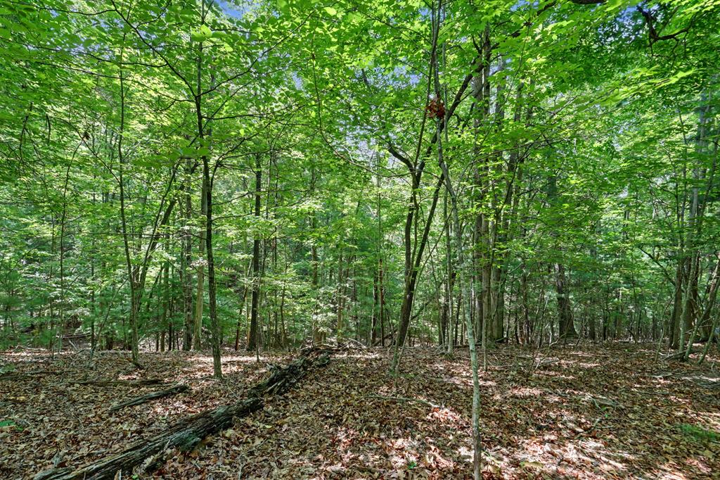 Tract 3 Wilmar Circle Property Photo 6