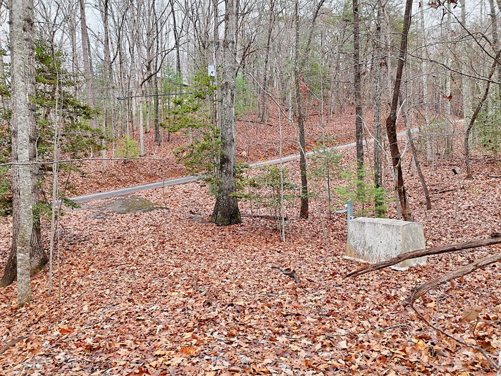 Tract 3 Wilmar Circle Property Photo 9
