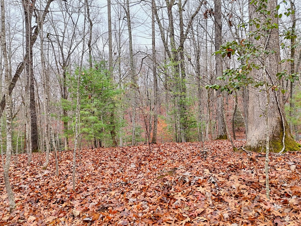 Tract 3 Wilmar Circle Property Photo 11