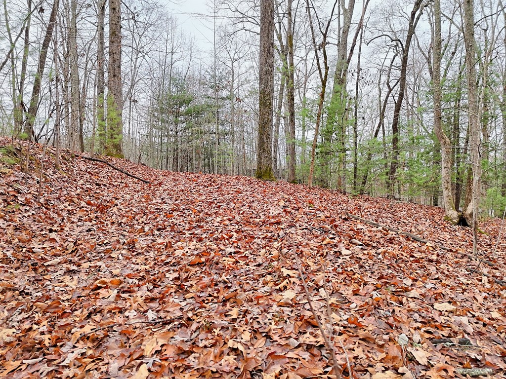 Tract 3 Wilmar Circle Property Photo 13
