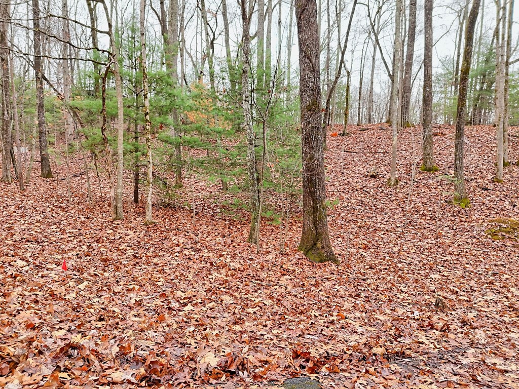 Tract 3 Wilmar Circle Property Photo 14