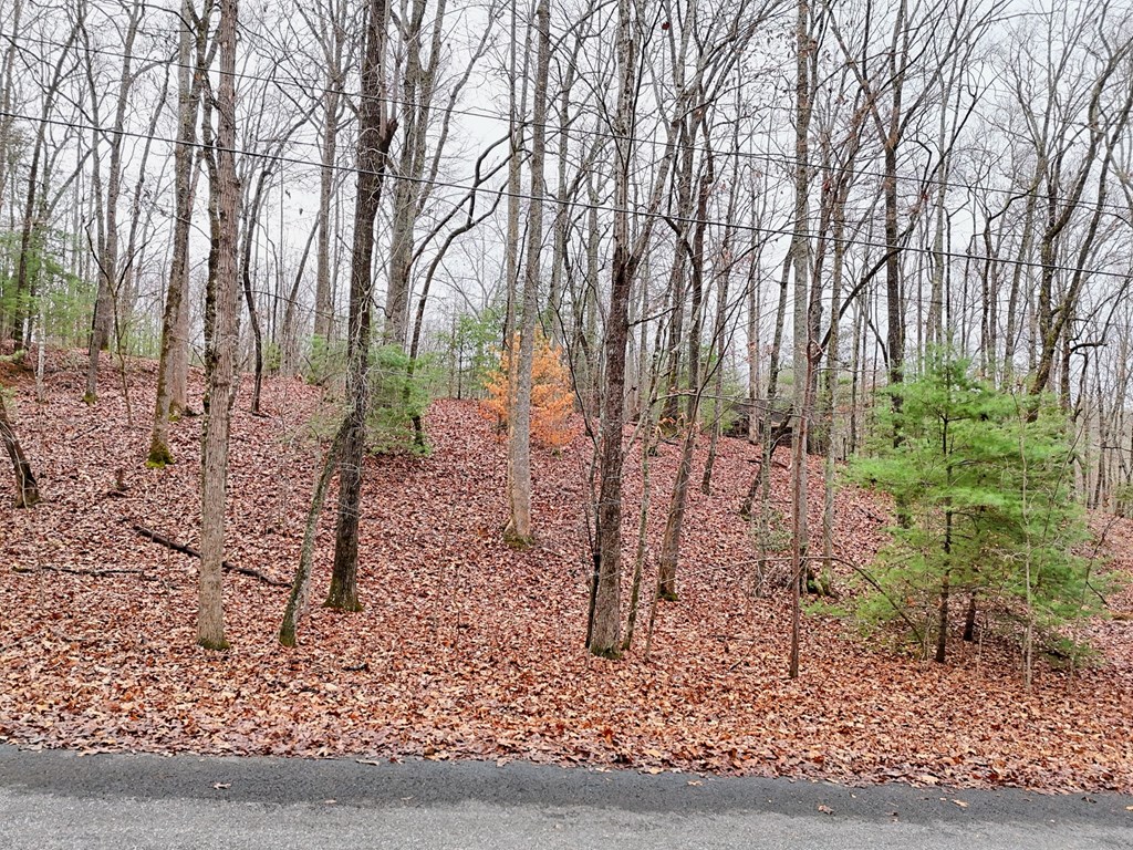 Tract 3 Wilmar Circle Property Photo 15