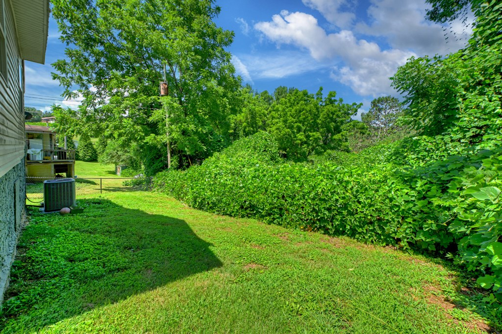 183 Main Street Property Photo 6