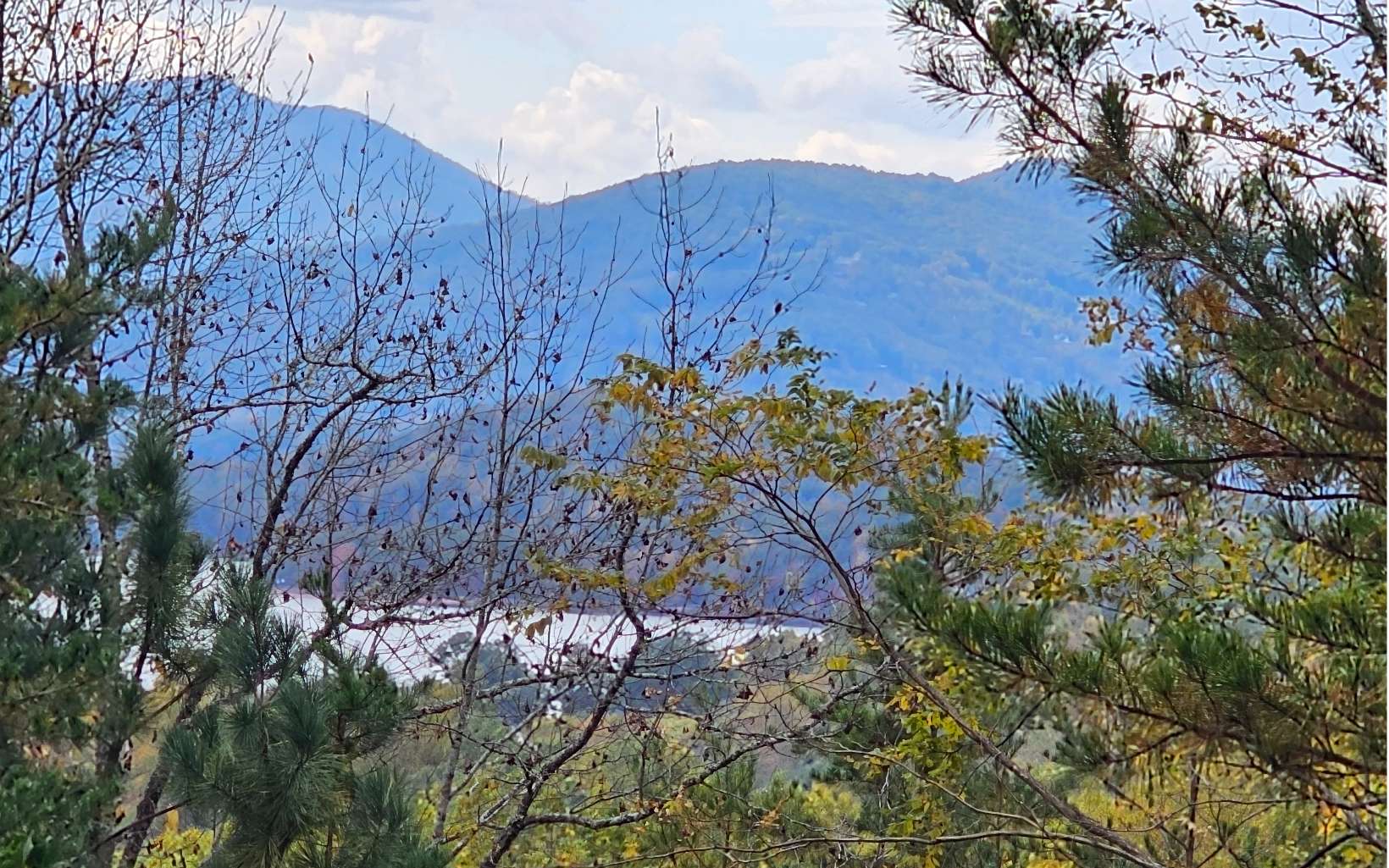 9a Chatuge Woods Property Photo 2