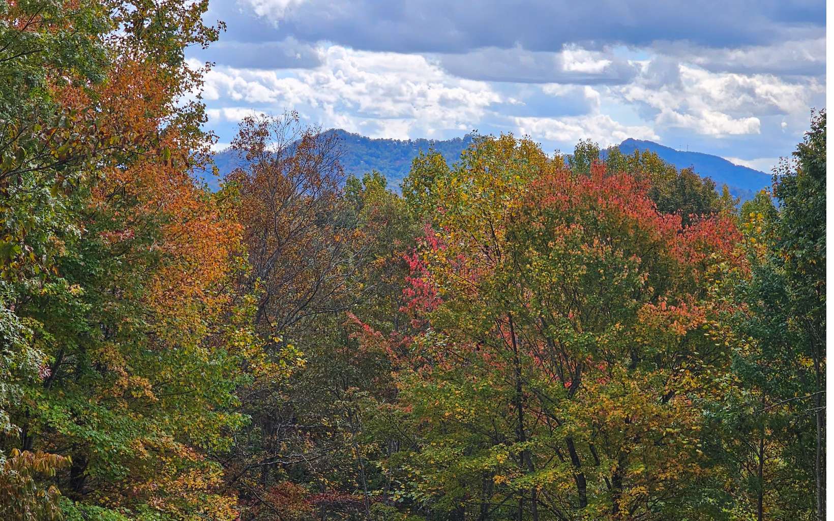 9a Chatuge Woods Property Photo 3