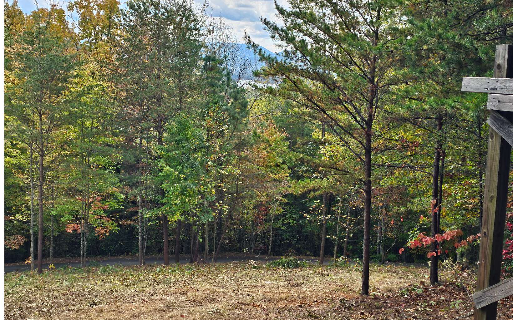 9a Chatuge Woods Property Photo 4