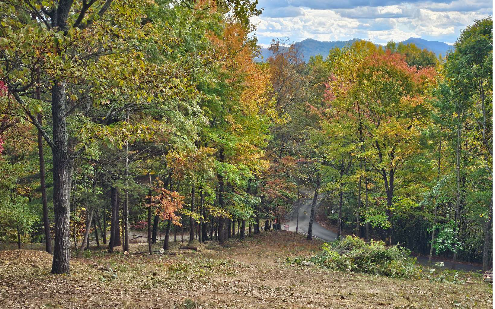 9a Chatuge Woods Property Photo 5