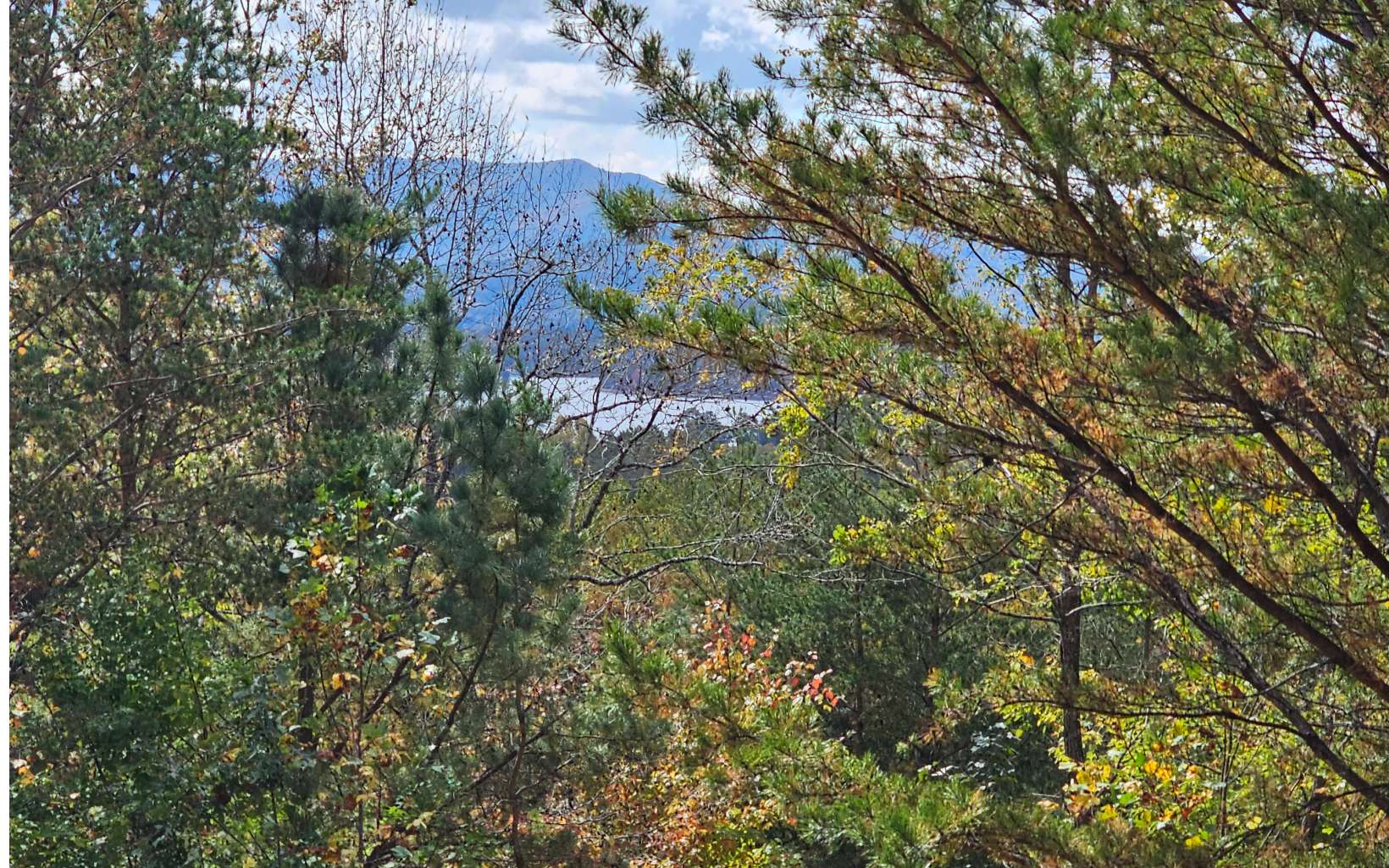 9a Chatuge Woods Property Photo 6