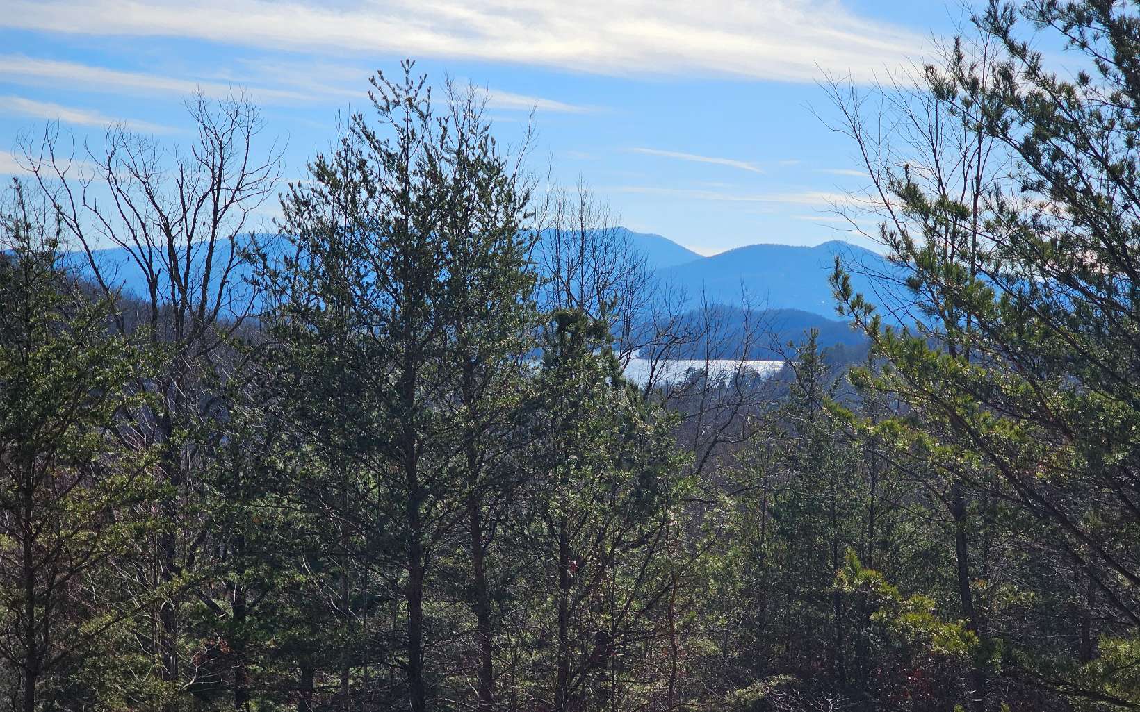 9a Chatuge Woods Property Photo 8