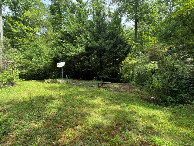 349 Happy Hollow Circle Property Photo 13