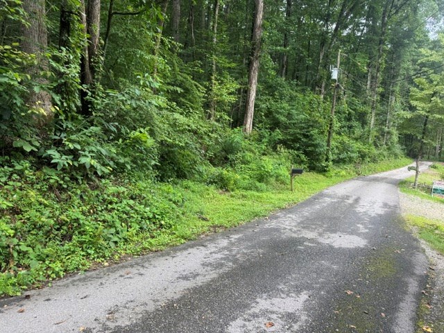 349 Happy Hollow Circle Property Photo 21