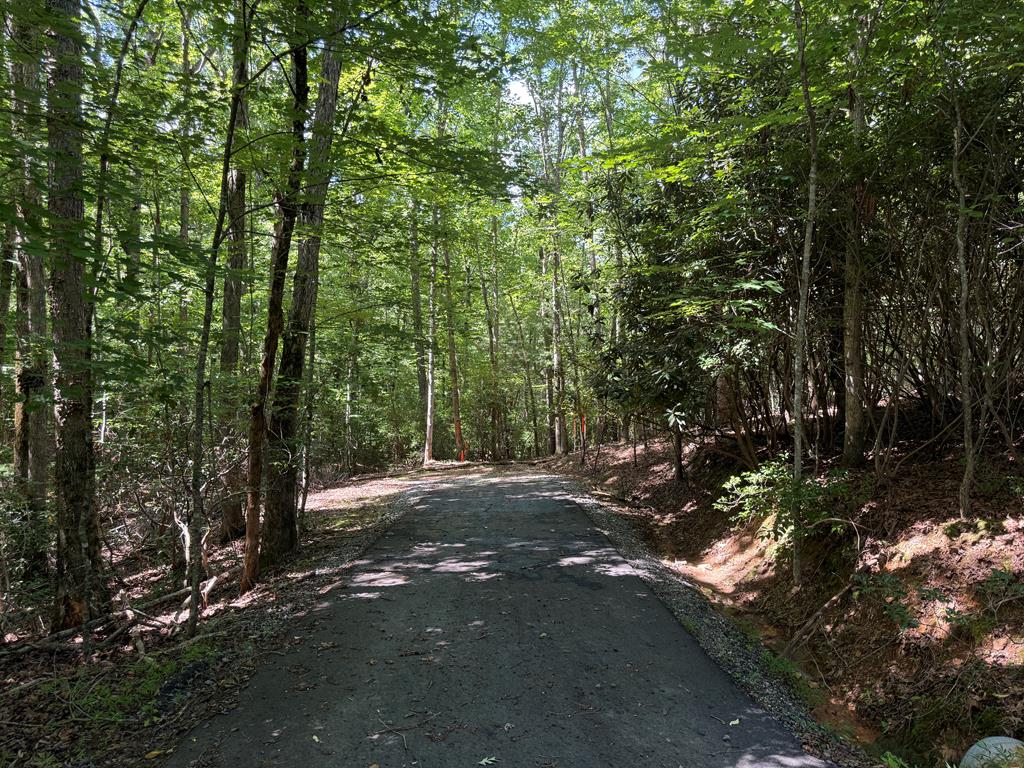 0 Panico Trail Property Photo 1