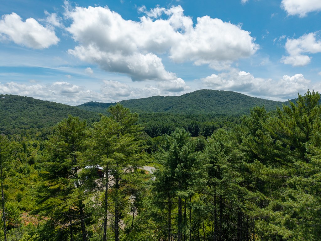 000 Higdon Creek Road Property Photo 4