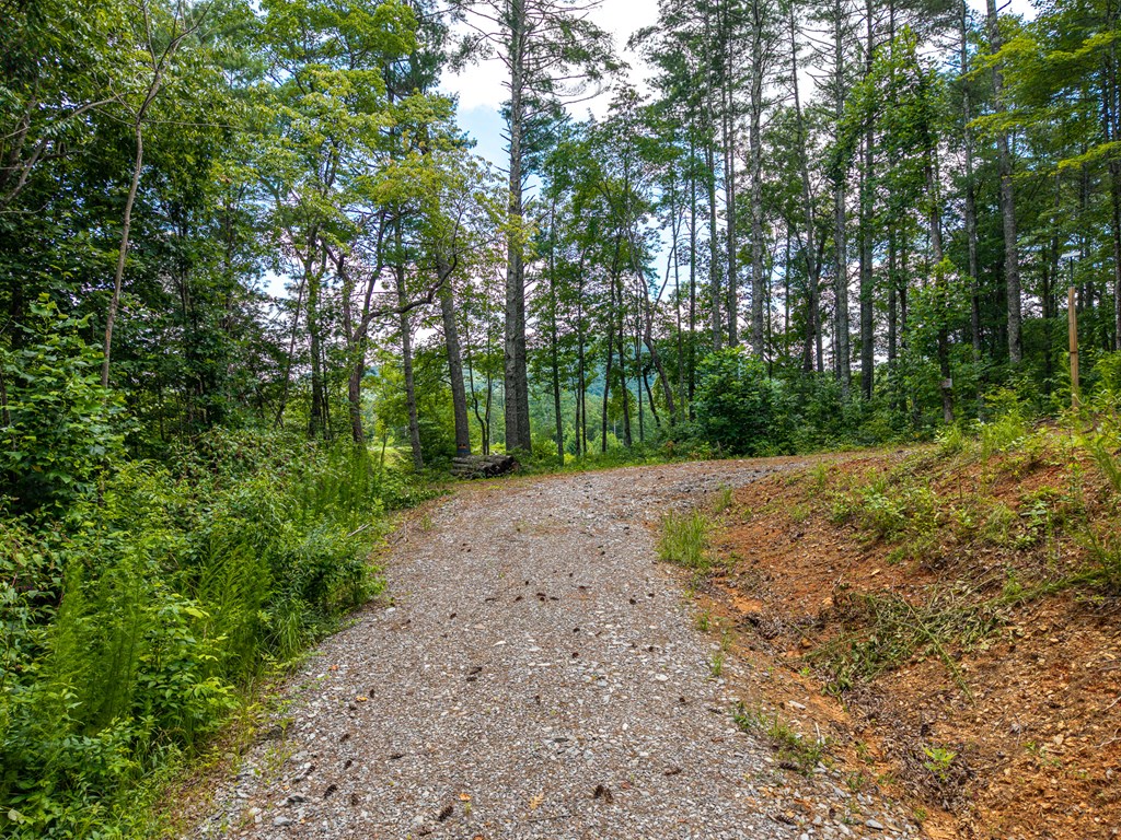 000 Higdon Creek Road Property Photo 18