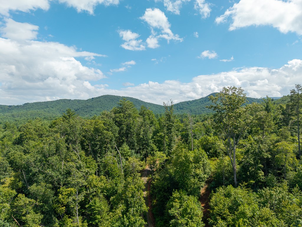000 Higdon Creek Road Property Photo 33