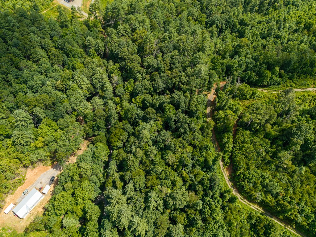 000 Higdon Creek Road Property Photo 45