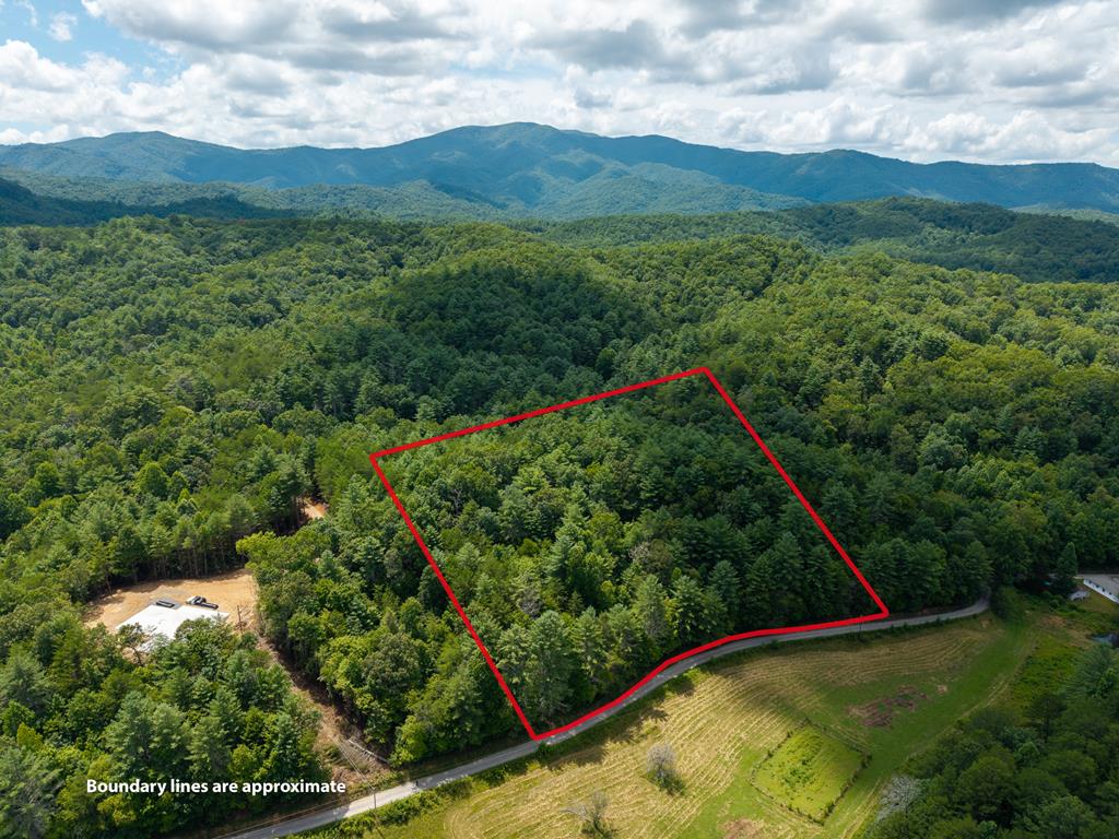 0 White Pine Road Property Photo 1