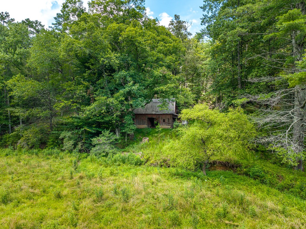 0 White Pine Road Property Photo 5