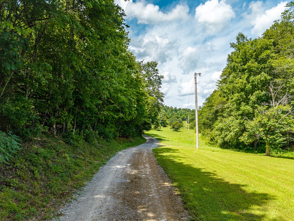 0 White Pine Road Property Photo 6
