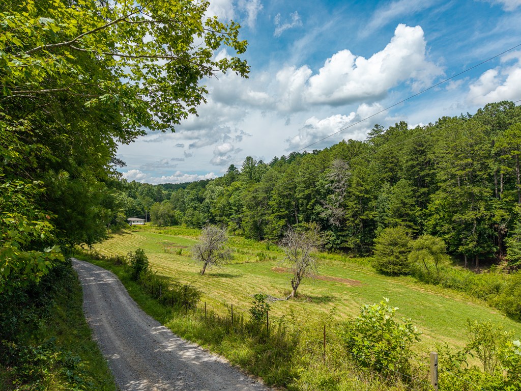 0 White Pine Road Property Photo 17