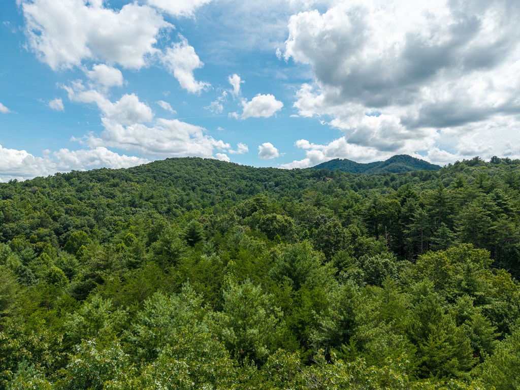 0 White Pine Road Property Photo 18