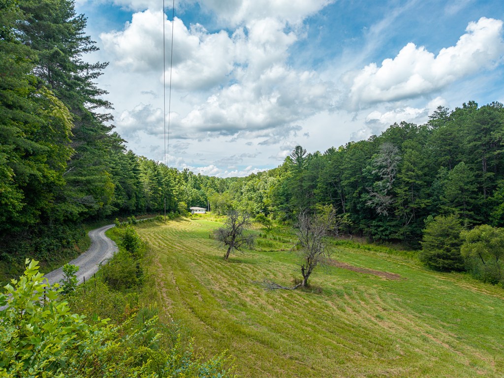 0 White Pine Road Property Photo 20