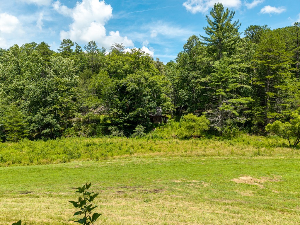 0 White Pine Road Property Photo 24