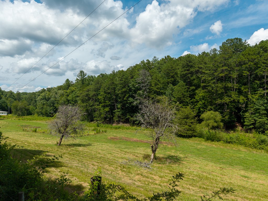 0 White Pine Road Property Photo 25