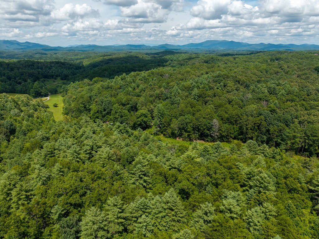 0 White Pine Road Property Photo 26