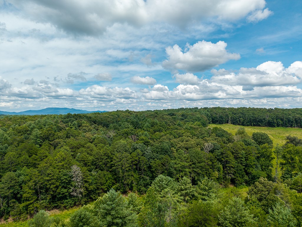 0 White Pine Road Property Photo 30