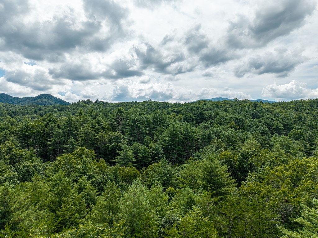 0 White Pine Road Property Photo 31